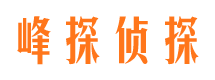 吉州市婚外情调查